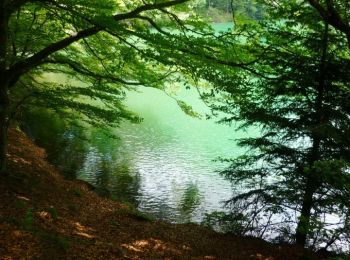 Excursión Senderismo Lepuix - Le Ballon d'Alsace -  Moosch - Tour des Lacs des Vosges - Etape 8 - Photo