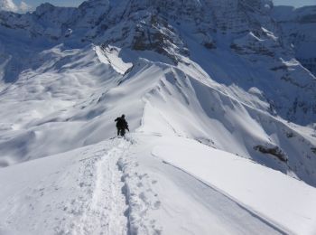 Trail Snowshoes Gavarnie-Gèdre - Piméné par la voie hivernale - Photo
