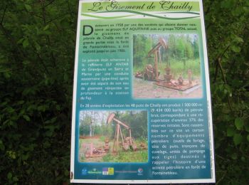 Randonnée Marche Chartrettes - Boucle en forêt de Fontainebleau - Chartrettes - Photo