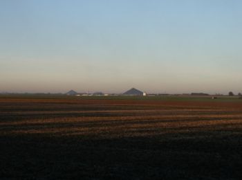 Tocht Stappen Willerval - Randonnée de Willerval à Farbus - Photo