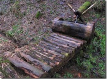 Trail Walking Bussang - Cascade de l'Ours - Bussang - Photo