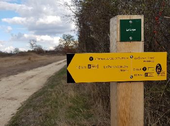 Trail Walking Méobecq - Forêt de Lanscome et étangs - Photo