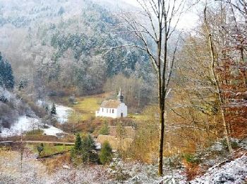 Randonnée Raquettes à neige Villé - Crêtes des Vosges en hiver - De Villé à Sainte Marie aux Mines - Photo