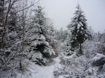 Randonnée Raquettes à neige Wisembach - Crêtes des Vosges en hiver - De Sainte Marie aux Mines au col du Calvaire - Photo