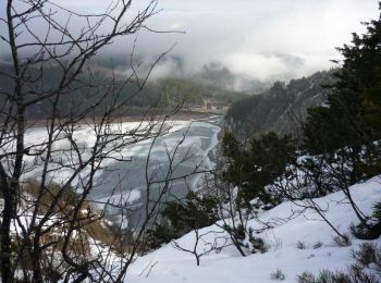 Tocht Sneeuwschoenen Orbey - Crêtes des Vosges en hiver - Du Col du Calvaire à Schallern - Photo
