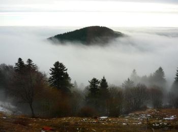 Randonnée Raquettes à neige Stosswihr - Crêtes des Vosges en hiver - De Schallern à Steinlebach - Photo