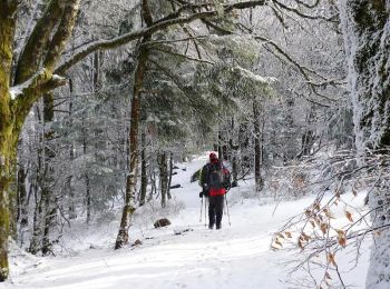 Randonnée Raquettes à neige Saint-Maurice-sur-Moselle - Crêtes des Vosges en hiver - De Rouge Gazon à Thann - Photo