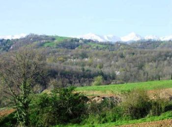 Excursión Bici de montaña Bagert - Espace VTT FFC Couserans-Volvestre en Pyrénées - Sentier de Bergès n°10 - Photo