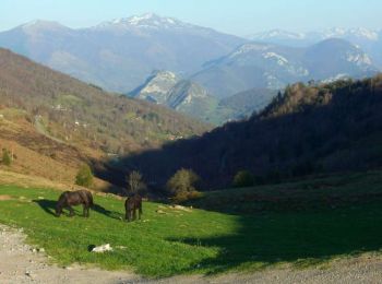 Trail Cycle Foix - Col de Port - Foix - Photo