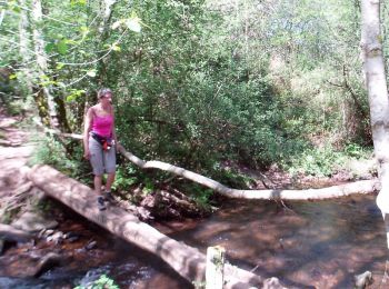 Tocht Stappen Urrugne - Montagne de Ciboure - Trabenea - Photo