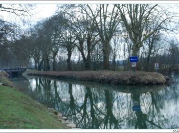 Randonnée Marche Dole - Canal de Dole - Photo