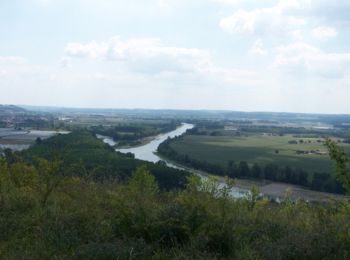 Trail Mountain bike Port-Sainte-Marie -  Port Ste Marie - Laparade - Photo