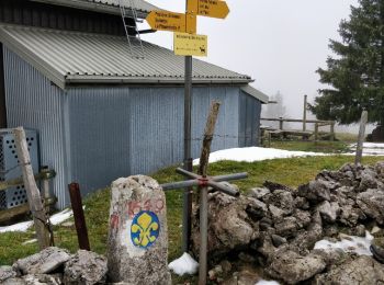 Tocht Stappen Rochejean - Granges Ranguin Mont d'Or - Photo