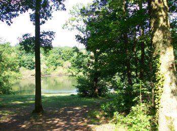 Trail Walking Chaville - Randonnée en forêt de Meudon - Chaville - Photo