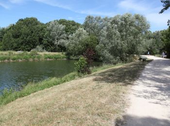 Tour Wandern Saint-Michel-sur-Orge - Randonnée entre l'Yvette et l'Orge - Photo