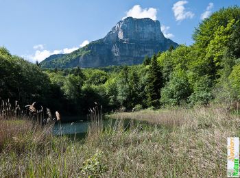 Tocht Stappen Chapareillan - Le chemin des charbonniers du Lac Noir - Les Marches - Photo