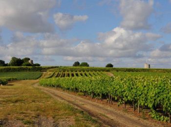 Randonnée V.T.T. Chadenac - Virée du Sablon - Chadenac - Photo