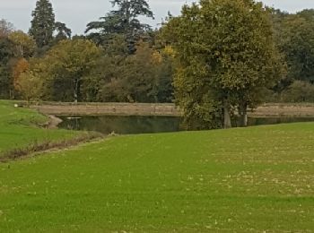 Randonnée Marche Mauges-sur-Loire - Saint Laurent-du-Mottay - Photo