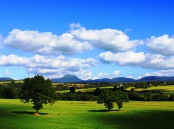 Tocht Mountainbike Murol - Espace VTT FFC du Sancy - Circuit n°01 - Le Bressoux - Secteur Beaune le Froid - Photo