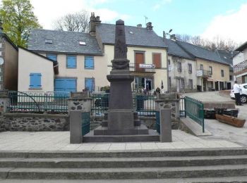 Tour Mountainbike Picherande - Espace VTT FFC du Sancy - Circuit n°08 - Bois de Gayme - Secteur Picherande - Photo