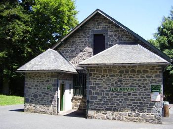 Tocht Mountainbike Mont-Dore - Espace VTT FFC du Sancy - Circuit n°20 - Le Capucin - Secteur Le Mont Dore  - Photo