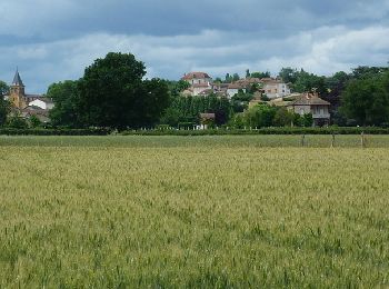 Tocht Mountainbike Melay - Centre VTT FFC en Brionnais - Melay - Parcours N°5 - Photo