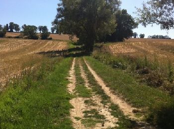 Trail Mountain bike Mondouzil - Les coteaux Est de Toulouse en VTT - de Mondouzil à Flourens - Photo