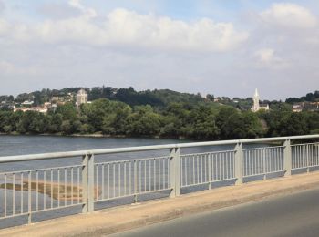 Tocht Stappen Oudon - Les bords de Loire entre Oudon et Ancenis - Photo