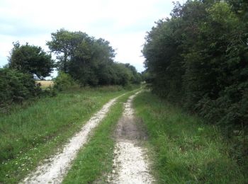 Excursión Bici de montaña Sénoville - Tour de Senoville en VTT - Photo