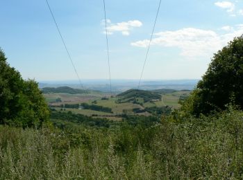 Tour Mountainbike Les Martres-de-Veyre - Vic Col de la Croix des gardes Mt Servait Puy de St Hippolyte - Photo