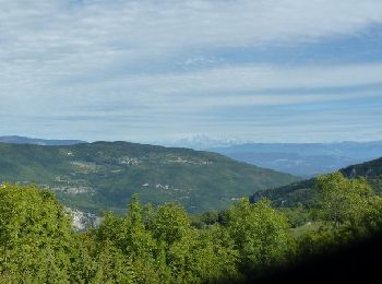 Excursión Bici de montaña Serrières-de-Briord - Serrieres de Briord - Calvaire de Portes - Photo