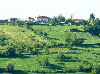 Percorso Mountainbike Mailly - Centre VTT FFC en Brionnais - Mailly - Parcours N°16 - Photo