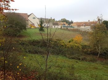 Tocht Stappen Élancourt - Elancourt 08/11/2018 - Photo