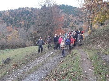 Trail Walking Bitschwiller-lès-Thann - 18.11.13.Bitschwiller - Photo