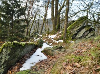 Tocht Stappen Bertrix - IR-221 Variante - La vallée des Munos et la voie des pierres qui parlent Rando au pays des scailtons entre forêt, rivière et pierre - Photo