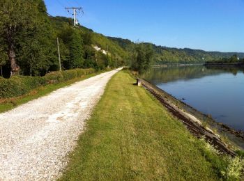 Trail Walking Honguemare-Guenouville - De Honguemare - Guenouville aux bordes de Seine - Photo