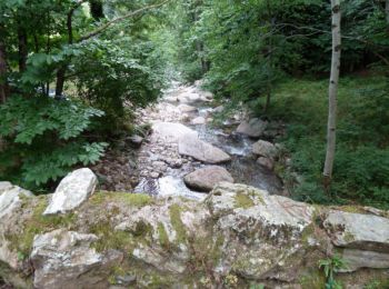 Trail Walking Castans - Boucle des ruisseaux - Castans - Photo