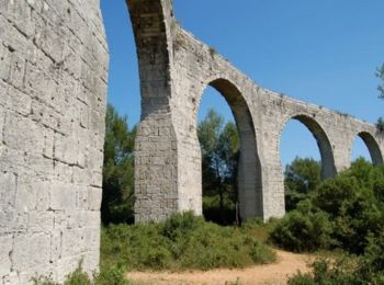 Excursión Senderismo Villetelle - Grande Traversée de l'Hérault à VTT - De Ambrussum à Fondespierre - Photo