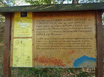 Excursión Senderismo Pechbusque - De Pechbusque à Auzeville Tolosane - Photo