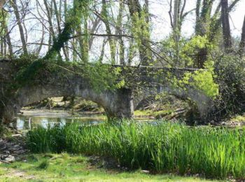 Randonnée V.T.T. Castries - Grande Traversée de l'Hérault à VTT - de Fondespierre à Saint Sauveur - Photo