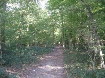 Tour Wandern Mons-en-Pévèle - Autour du site ornithologique du bois des Cinq Tailles  - Mons en Pévèle - Photo