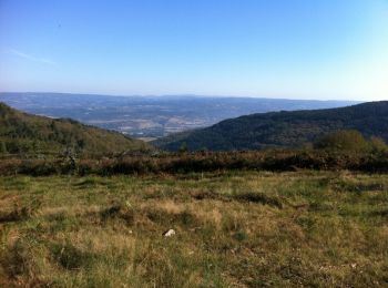 Randonnée Marche Labruguière - Le Carbonéral - Labruguière - Photo