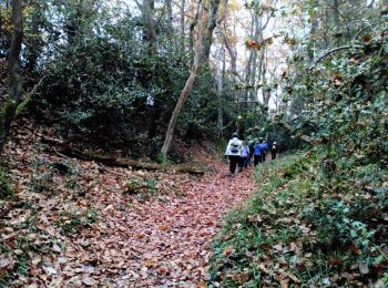 Tour Nordic Walking Oursbelille - circuit du Castet Crabé - Photo