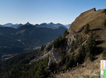 Randonnée Marche Bernex - Traversée du Pic des Mémises, 1674m - Photo