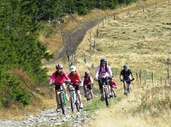 Trail Mountain bike Les Estables - Site VTT FFC du Mézenc et de la Loire sauvage - Circuit n° 04 - Tour du Mont Alambre  - Photo