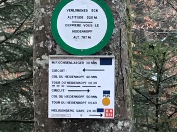 Trail Walking Rosheim - verloreneck tour heidenkopf  - Photo