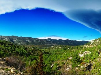 Randonnée V.T.T. Montpeyroux - Grande Traversée de l'Hérault à VTT - de La Font du Griffe à La Vernède - Photo