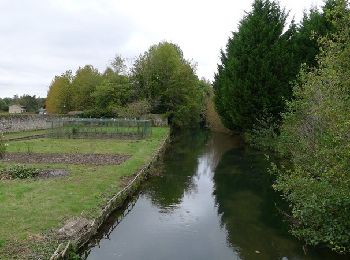 Percorso Marcia Étréchy - Randonnée autour d'Etrechy - Photo