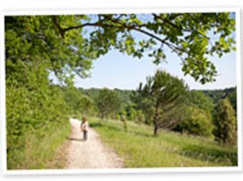 Tour Wandern Bouliac - Circuit du parc de Loc Boué - Bouliac - Photo