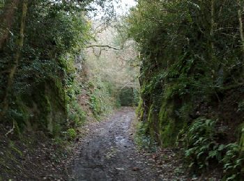 Randonnée Marche La Chapelaude - Randonnée La Chapelaude - Photo